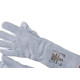 Zanel Luva Raspa 15Cm Refor.Blister Zanel Luva Raspa 15Cm Refor.Blister