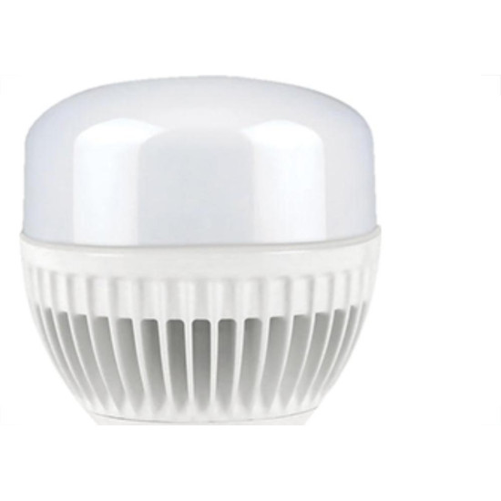 Black Lamp Led A.Fator B&D100W T180 6500K