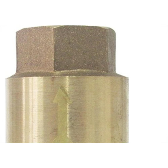 Valvula Retencao Metal Brasfort 3/4''Vertical Valvula Retencao Metal Brasfort 3/4''Vertical