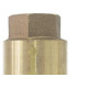 Valvula Retencao Metal Brasfort 3/4''Vertical Valvula Retencao Metal Brasfort 3/4''Vertical