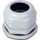 Prensa Cabo Steck Bsp 1/2'' S852Ci Pvc Prensa Cabo Steck Bsp 1/2'' S852Ci Pvc