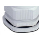 Prensa Cabo Steck Bsp 1/2'' S852Ci Pvc Prensa Cabo Steck Bsp 1/2'' S852Ci Pvc
