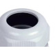Prensa Cabo Steck Bsp 1'' S854Ci Pvc Prensa Cabo Steck Bsp 1'' S854Ci Pvc