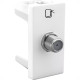 Modulo Pial Plus+ 1 Tomada Coaxial Branca - 615030Bc