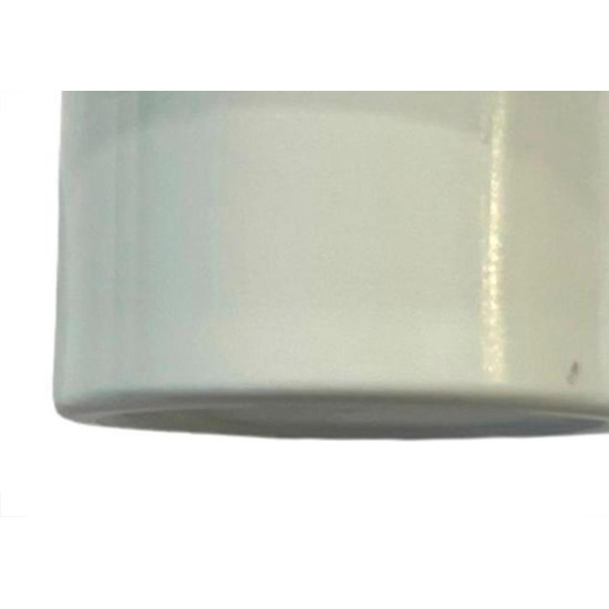 Conector Para Caixa Multiuso Tramontina Lizflex 3/4'' Branco - Kit C/10 Pecas Conector Para Caixa Multiuso Tramontina Lizflex 3/4'' Branco - Kit C/10 Pecas