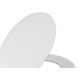 Assento Sanitario Astra Branco Tpg*Br1