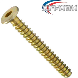 Parafuso Estrutural Moveleiro Tampinha 13 Allen Bicromatizado Newfix 7,0 X 5,0Mm - Kit C/2 Cartelas