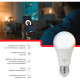 Lampada Led Bulbo Steck Rgbw Wifi 12W 3000K A 6500K Bivolt - Smal2Us1
