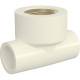 Te Tigre Aquatherm Transicao 22Mmx3/4''
