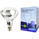 Lampada Para Secagem Infra Vermelho Brasfort 250Wx127V. Lampada Para Secagem Infra Vermelho Brasfort 250Wx127V.