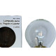 Lampada Para Geladeira/Fogao/Lustre Brasfort 40Wx220V. Clara