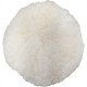 Boinas Para Politriz Mil Kits 8'' - M12 Boinas Para Politriz Mil Kits 8'' - M12