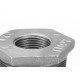 Conexao Galvanizada Tupy Bucha Reducao   2X3/4''