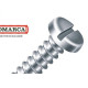 Parafuso Auto Atarraxante Panela Fenda Jomarca 6,3 X 22Mm - Kit C/2 Centos