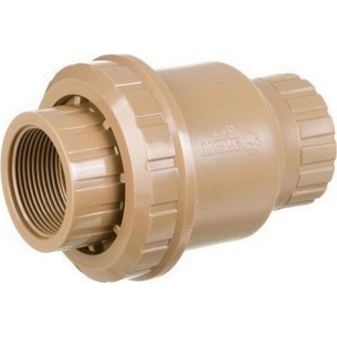 Valvula Retencao Pvc Higiban Rosca 3/4''
