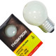 Lampada Colorida Thompson 15Wx127V. Leitosa - Kit C/10 Pecas Lampada Colorida Thompson 15Wx127V. Leitosa - Kit C/10 Pecas