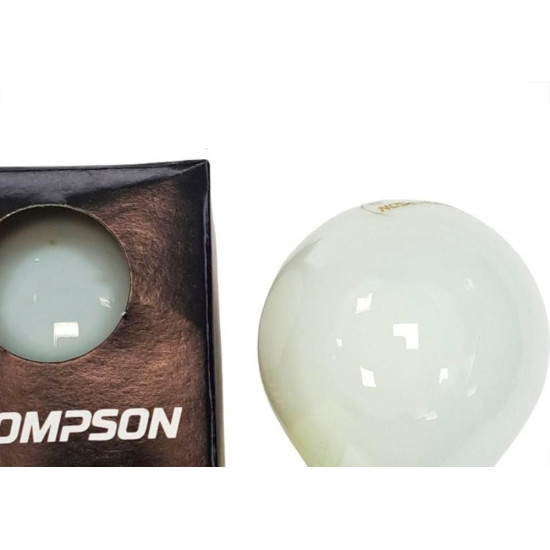 Lampada Colorida Thompson 15Wx127V. Leitosa - Kit C/10 Pecas Lampada Colorida Thompson 15Wx127V. Leitosa - Kit C/10 Pecas
