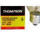 Lampada Colorida Thompson 15Wx127V. Clara - Kit C/10 Pecas Lampada Colorida Thompson 15Wx127V. Clara - Kit C/10 Pecas
