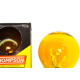 Lampada Colorida Thompson 15Wx220V. Amarela - Kit C/10 Pecas Lampada Colorida Thompson 15Wx220V. Amarela - Kit C/10 Pecas