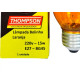 Lampada Colorida Thompson 15Wx220V. Laranja - Kit C/10 Pecas