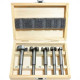 Fresa Para Tupia Eda Forstner 10Mm A 35Mm Com 5 Pecas - 0Aw Fresa Para Tupia Eda Forstner 10Mm A 35Mm Com 5 Pecas - 0Aw