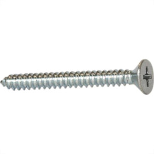 Parafuso Auto Atarraxante Chata Philips New-Fix 6,3 X 50Mm - Kit C/2 Centos