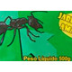 Repelente Formiga Rainha Verde C/10 50Gr Repelente Formiga Rainha Verde C/10 50Gr
