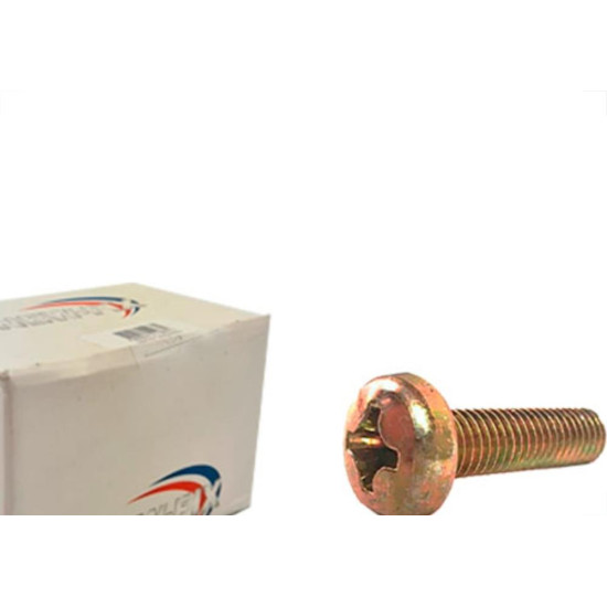 Parafuso Metrico Nfix Panela Phillips 4X30 - Kit C/5 Centos Parafuso Metrico Nfix Panela Phillips 4X30 - Kit C/5 Centos