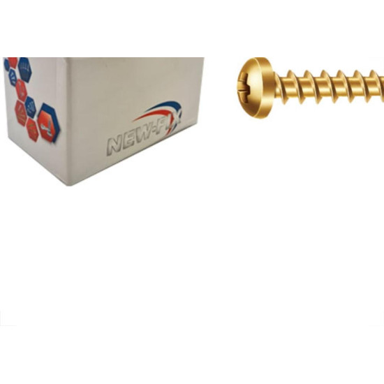 Parafuso New Fix Chip Pan 3,0 X 10 - Kit C/5 Centos Parafuso New Fix Chip Pan 3,0 X 10 - Kit C/5 Centos