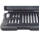 Jg Bits Torx Stels C/15 Jg Bits Torx Stels C/15