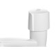 Torneira Lavario Pvc Herc Facilita Bca