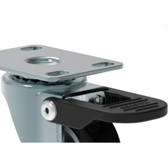 Rodizio Schioppa Placa Girat.C/T 2 Rodizio Schioppa Placa Girat.C/T 2
