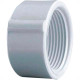 Caps Rosca Rr Amanco 11/2'' Caps Rosca Rr Amanco 11/2''