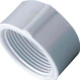 Caps Rosca Rr Amanco 11/2'' Caps Rosca Rr Amanco 11/2''