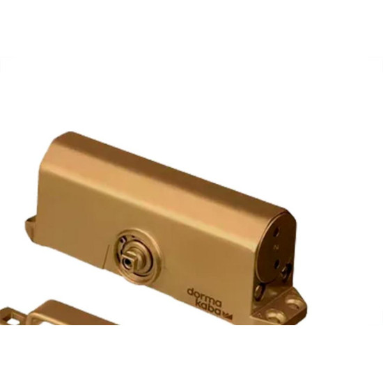 Mola Aerea Dorma 200-2 Ouro - 40Kg Mola Aerea Dorma 200-2 Ouro - 40Kg