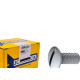 Parafuso Eletro Lentilha Fenda 1/4X3/4 - Kit C/2 Centos