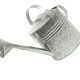 Regador Galvanizado N.10 Regador Galvanizado N.10