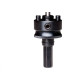 Suporte P/S.Copo Starr.A-02 32A210M Suporte P/S.Copo Starr.A-02 32A210M