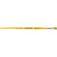Pincel Tigre Chato Ref: 815 X 10 - Kit C/12 PC